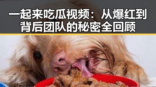 一起来吃瓜视频:从爆红到背后团队的秘密全回顾