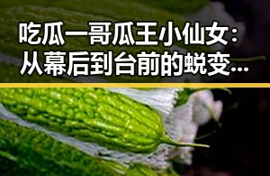 吃瓜黑料