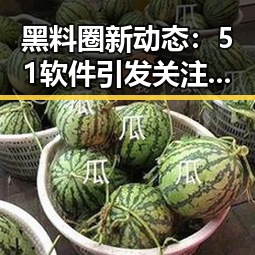 黑料圈新动态:51软件引发关注,内容创作环境日益激烈